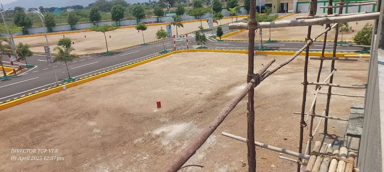 TGP city 3