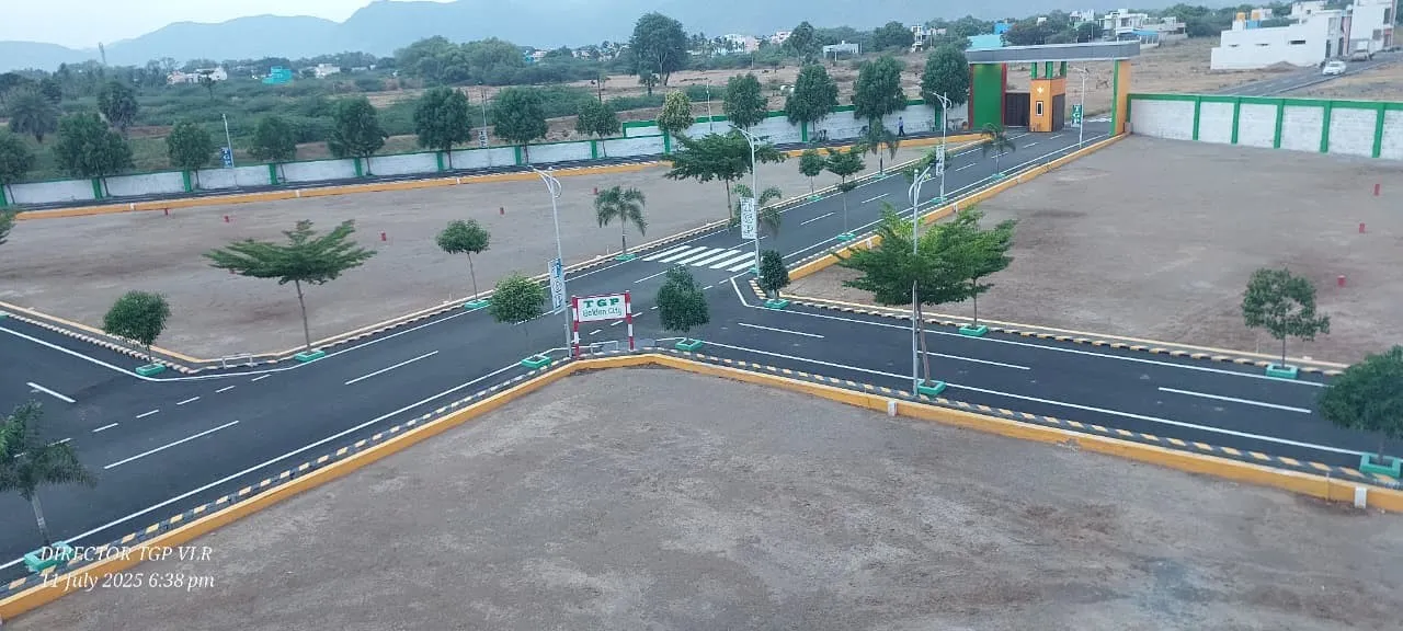 TGP city 2