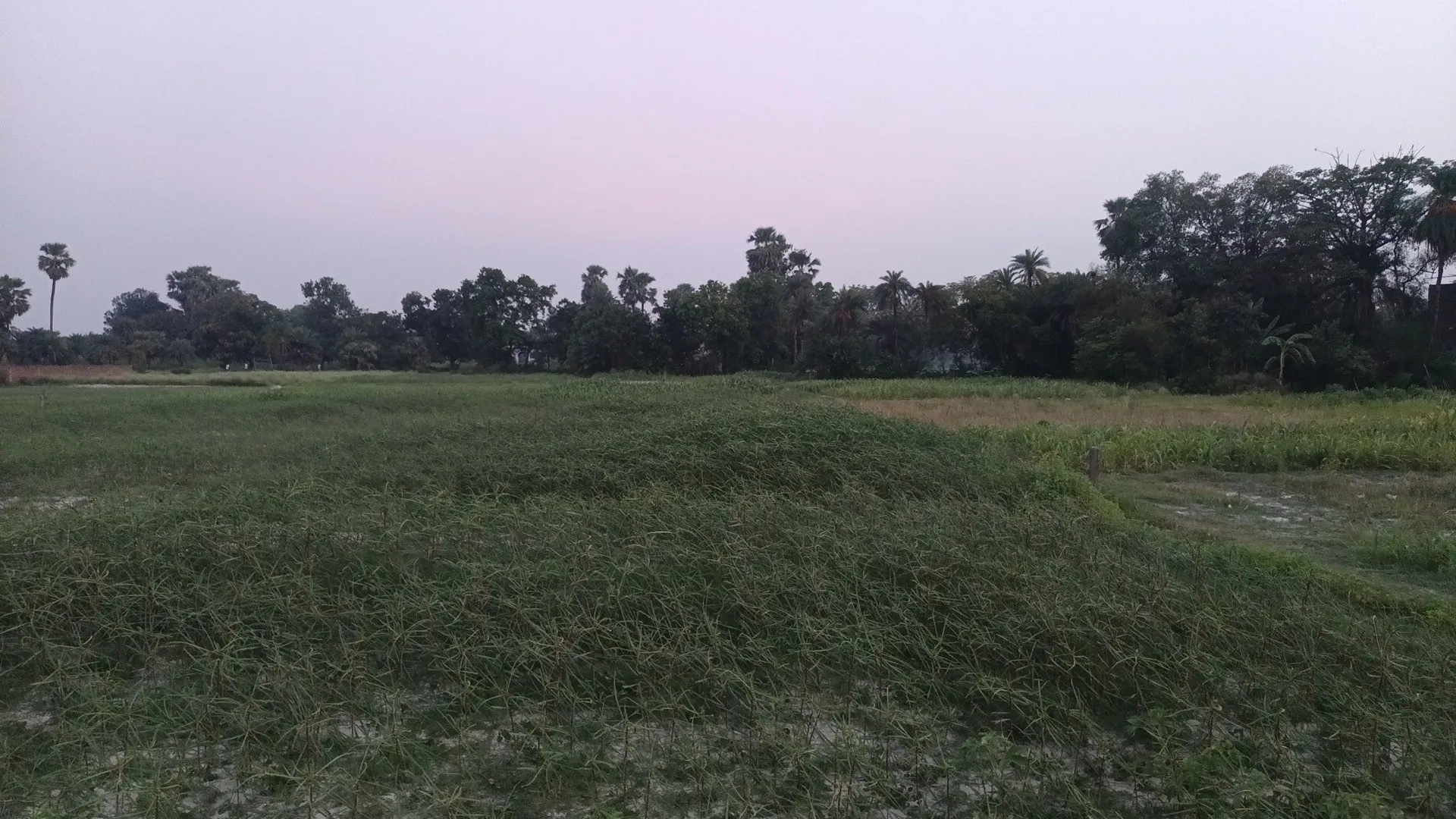 MALA Residency Residential Plot for Sale in Samastipur 3