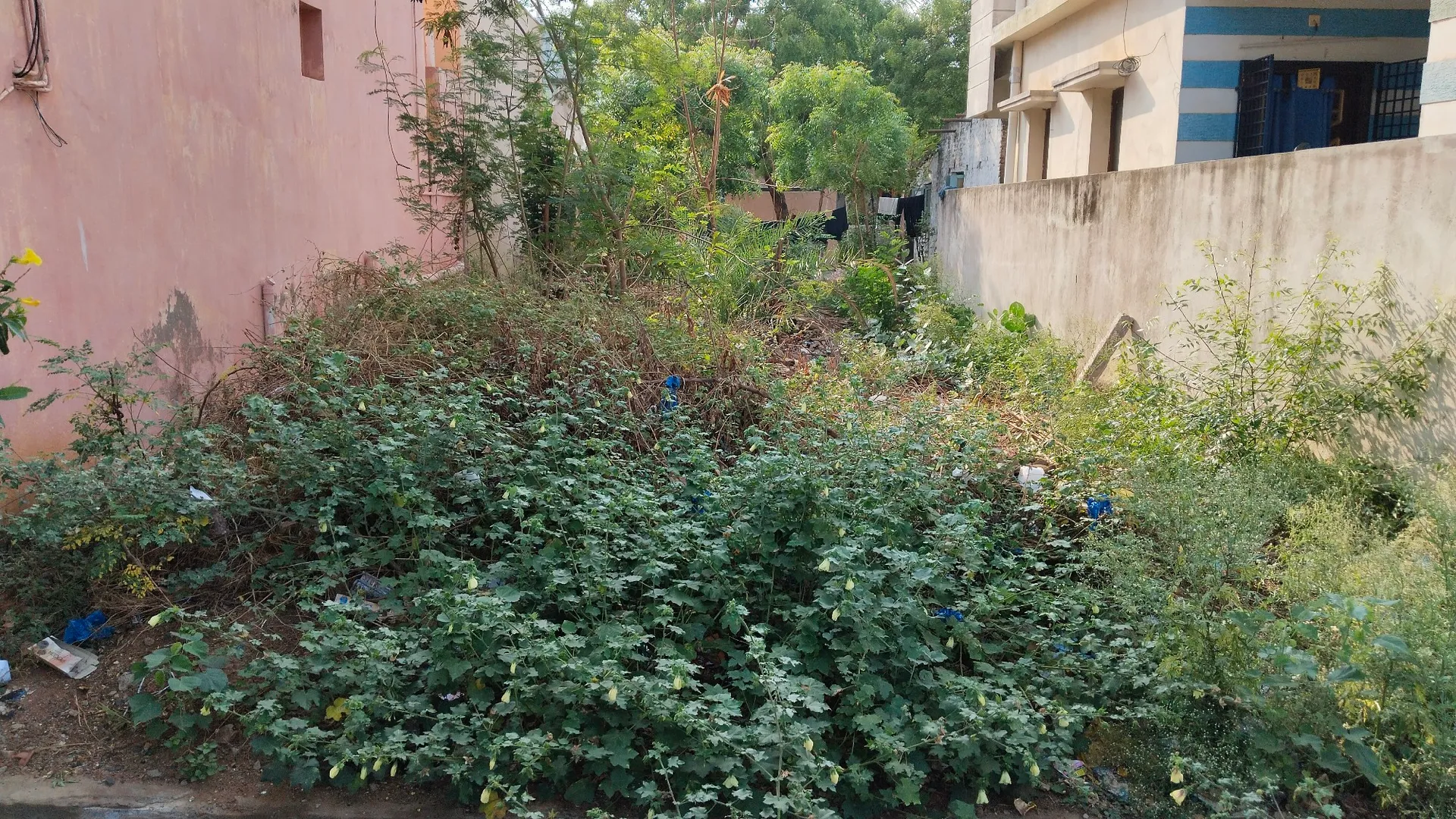 9 ankanam plot 2
